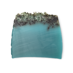 Lush Sea Vegetable Soap